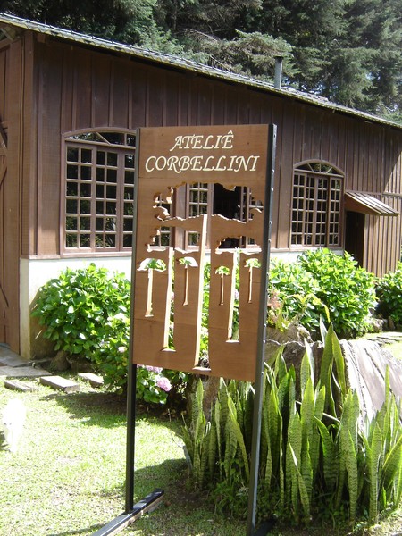 PINHEIRO ARAUCÁRIA