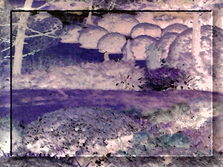 Picture from camera 271 YARD