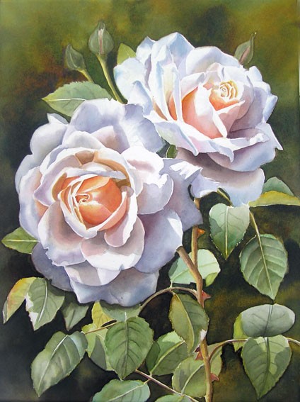 Rose Clair Renaissance IV - watercolor painting