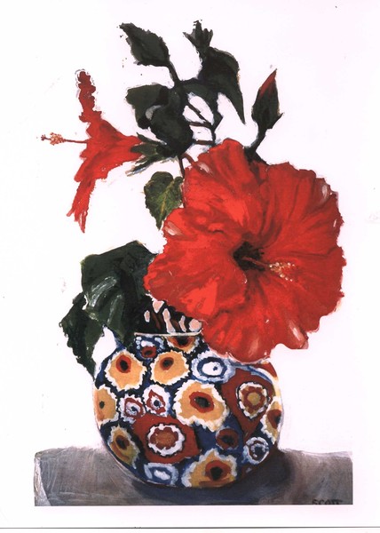Hibiscus