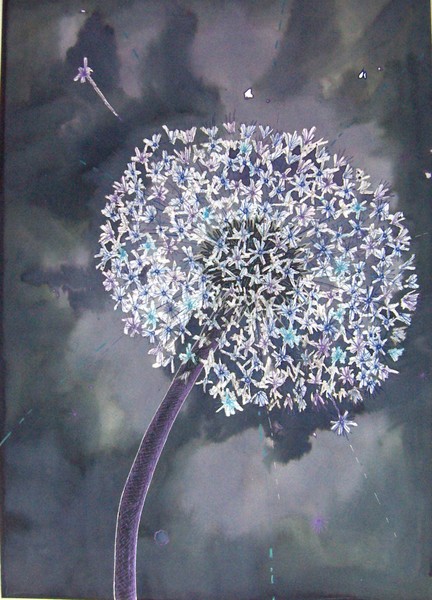 Dandelion