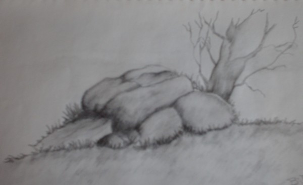 landscape 2