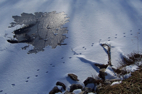 Signs of Life