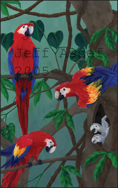 Scarlet Macaws