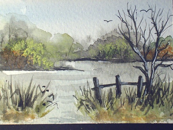 village pond
