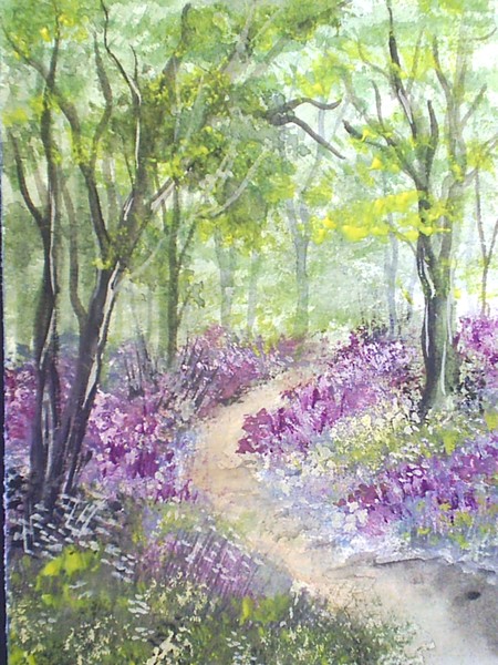 Bluebell wood