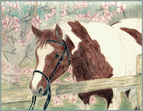 The Paint in Spring