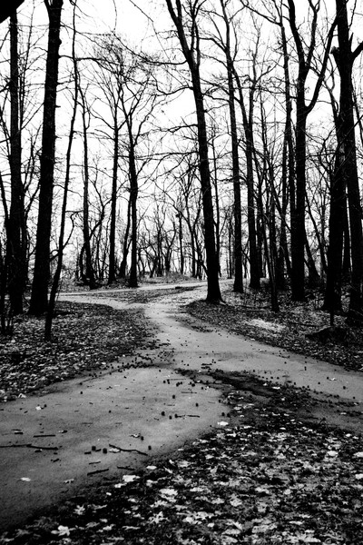 A walk in the park