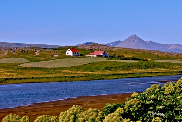 A animal farm in Borgarfjordur !