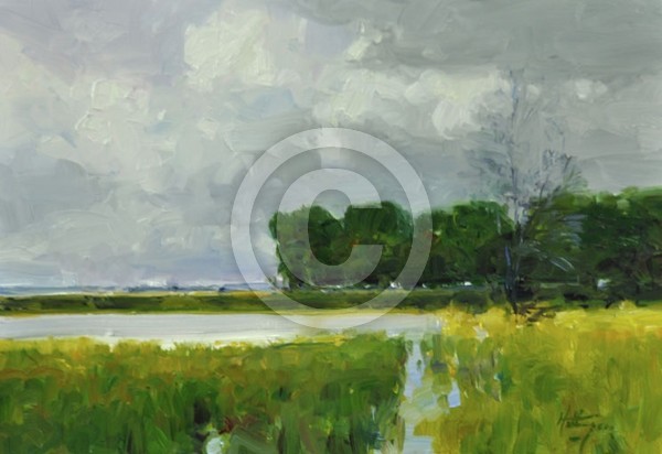 Nelson's Lake