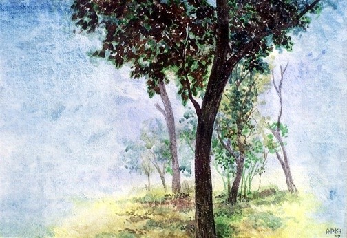WinterTrees