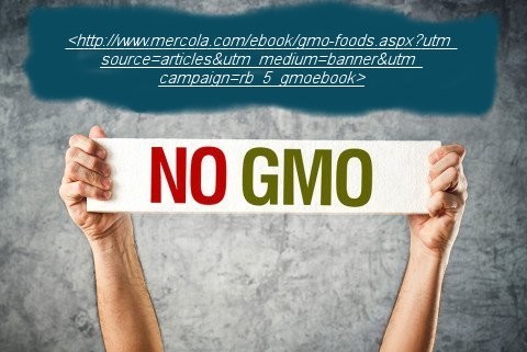NO GMO