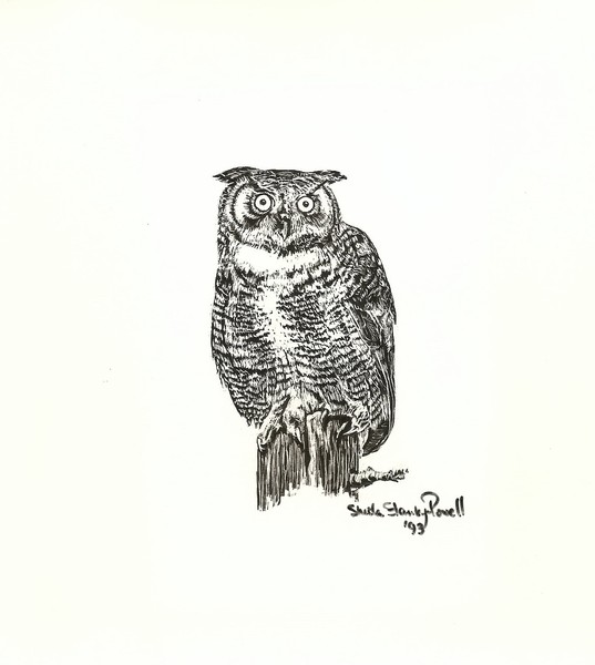 great horned owl