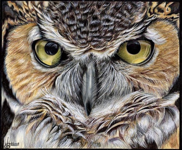 The Look-3