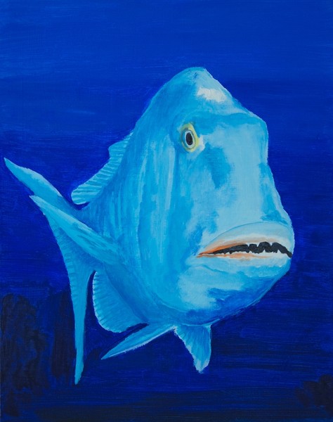 Buster Blue