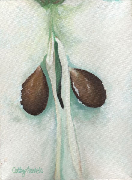 apple core