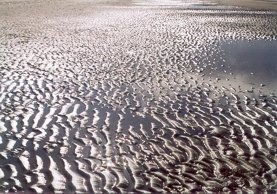 The Silversand Beach