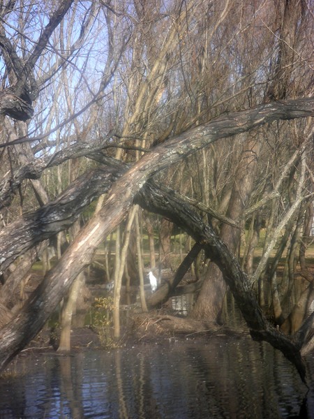 Finding A Quiet Place
