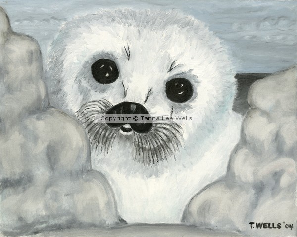Curious Arctic Seal Pup