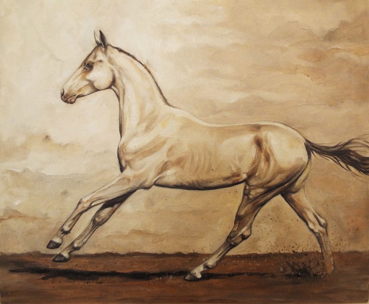 ...akhal teke