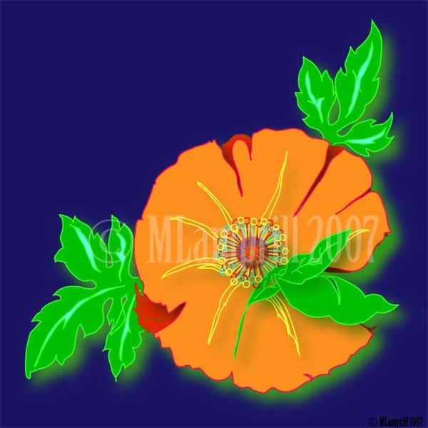 Orange Flower