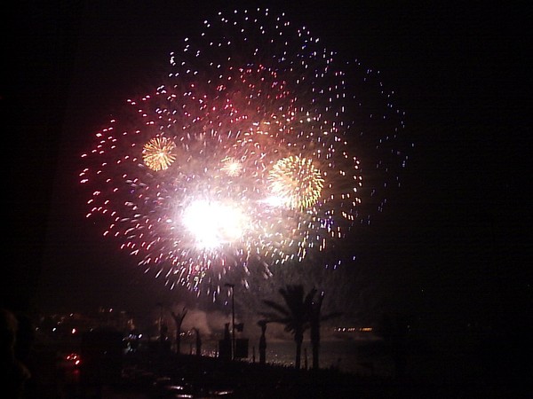 Annual Firework Display In Blanes 2005