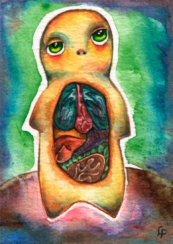What's Inside