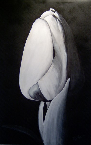 Tulip