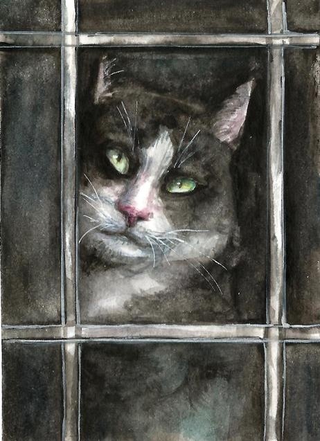 Black cat watercolor