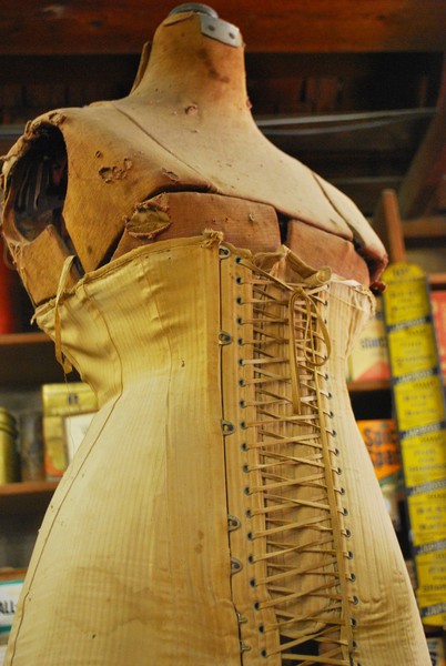 The Female Form 