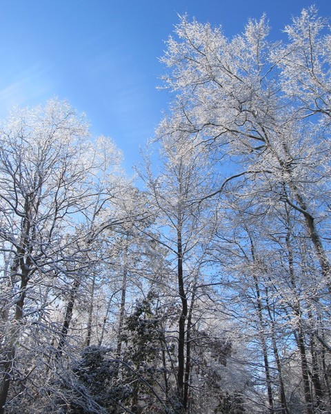 Ice