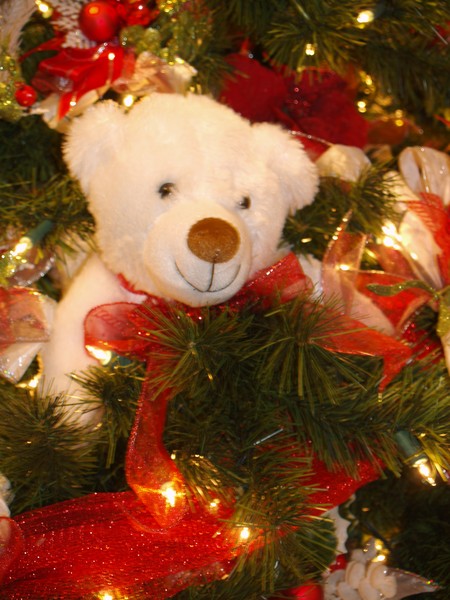 A Beary Merry Christmas
