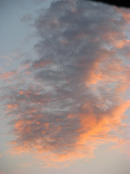 Some clouds in the horizon
