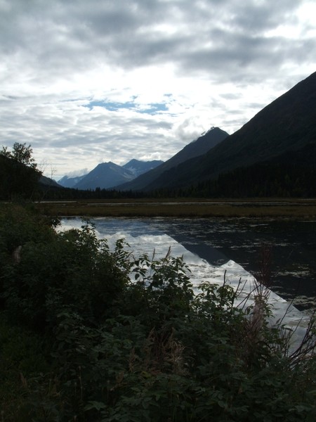 Tern Lake