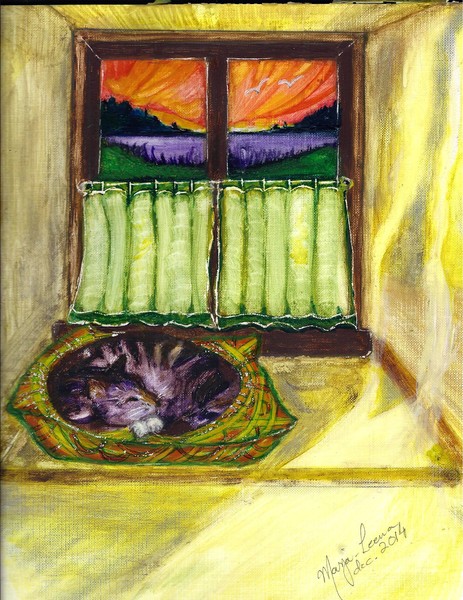 Sleeping Cat