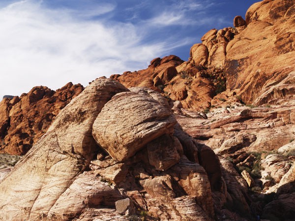 Desert Landscape