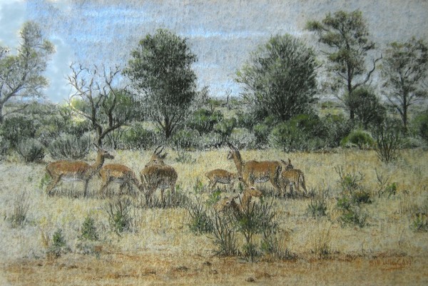 Pastel on Pulp - Impala - Kruger Park