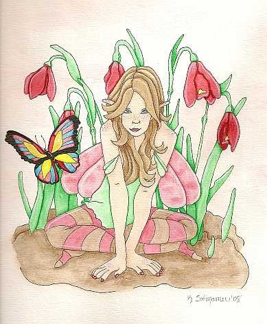 Butterfly