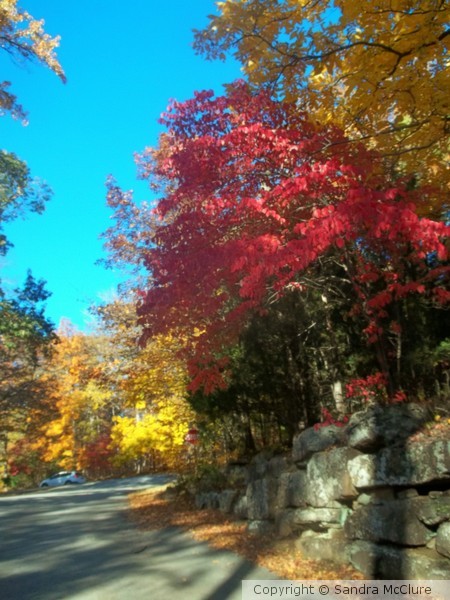 Arkansas Joy