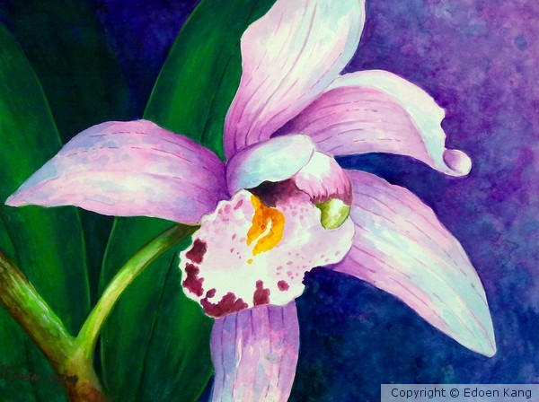 Purple Beauty