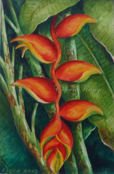 Heleconia