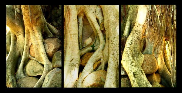 Three Views of Entrapment
