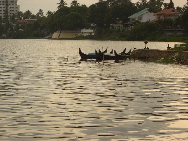 Periyar