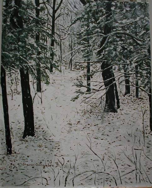 Ozark Woods in Snow #2
