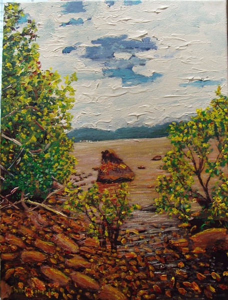 Rocky Shore
