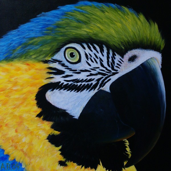 PARROT PORTRAIT