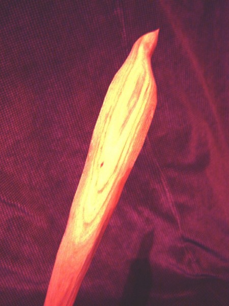 bird