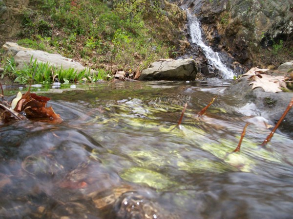 West Virginia Waterfall