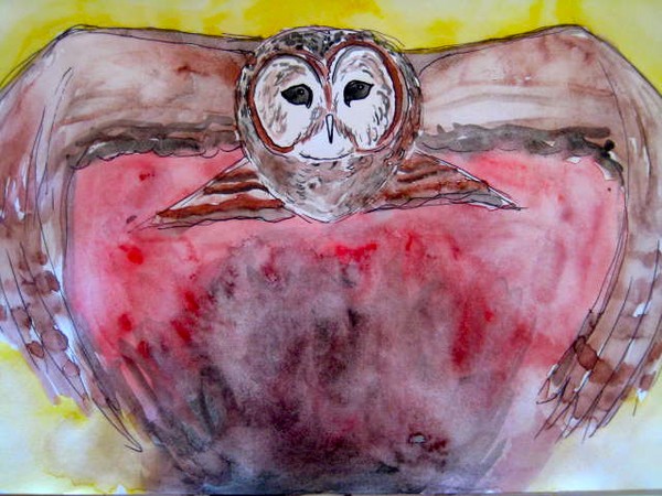 The owl is the arc