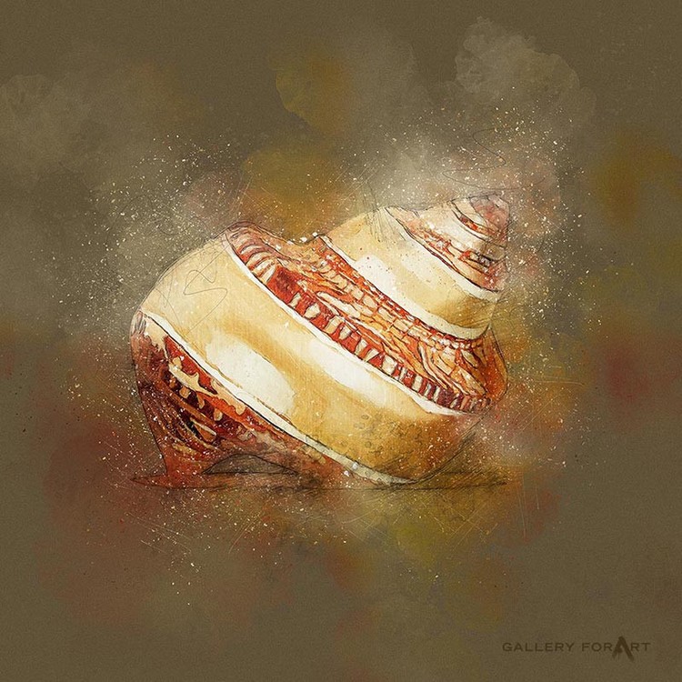 SHELL MUD CLOUDY